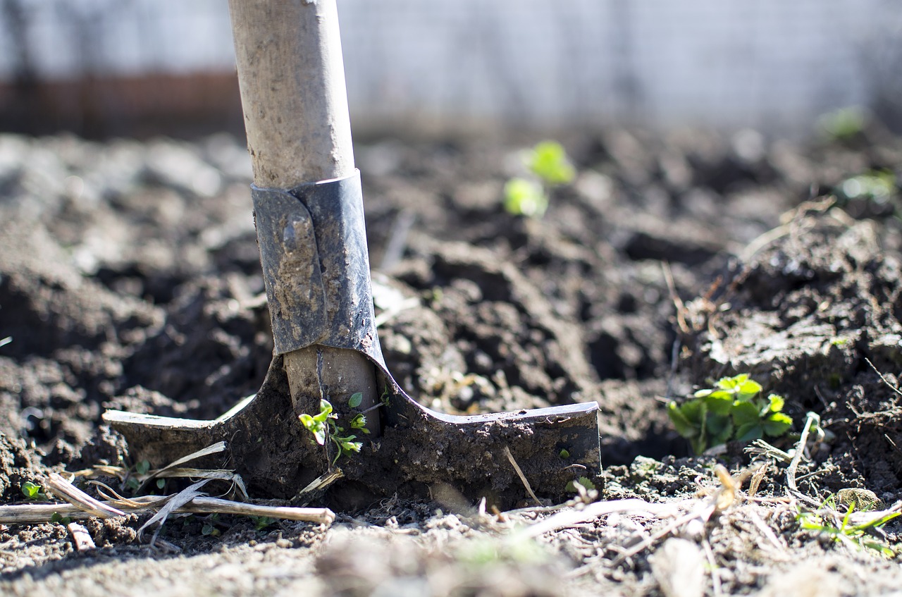 Agricoltura, rinnovato il finanziamento ad Agrifidi