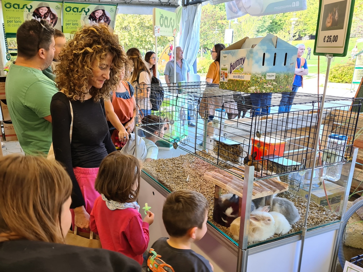 Domenica 29 settembre gli animali della fattoria arrivano alla Fiera di San Michele